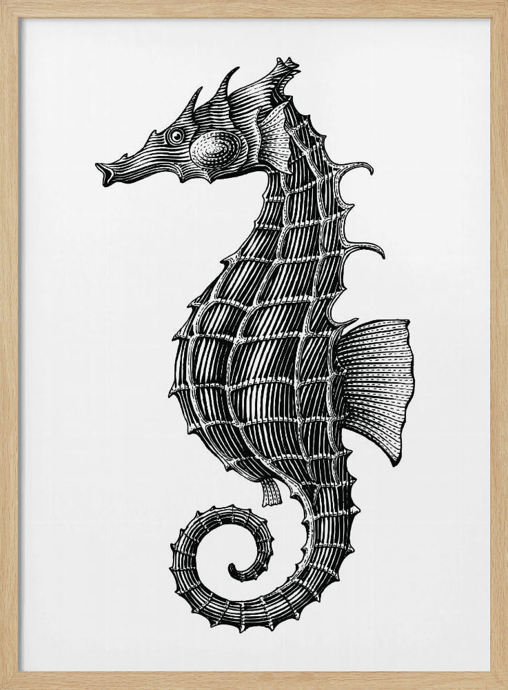 Seepferdchen | Poster