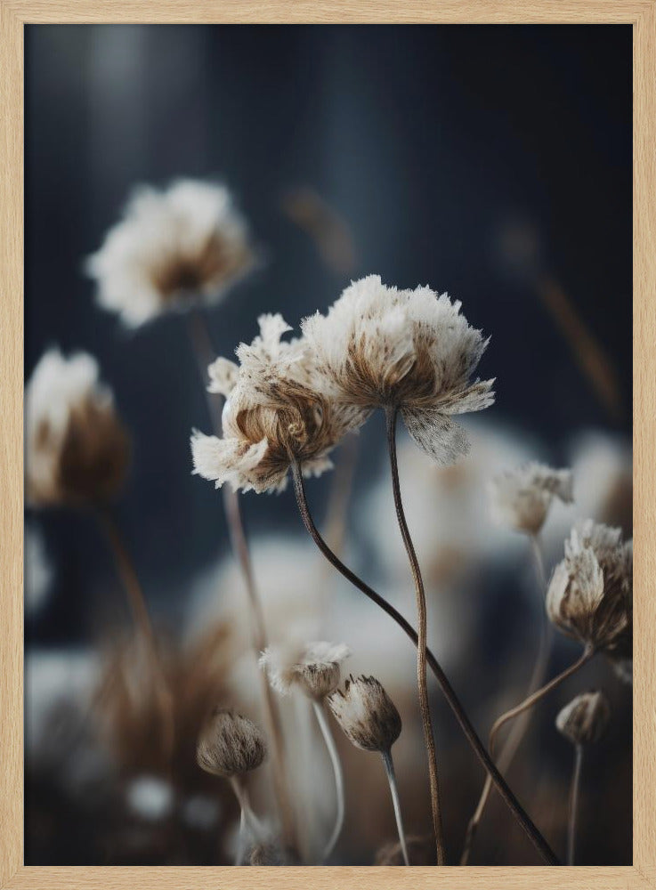 Flüstern der Natur | Poster