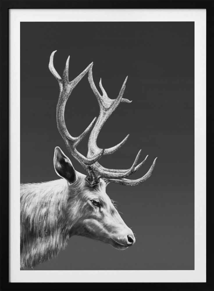 Rentier | Poster