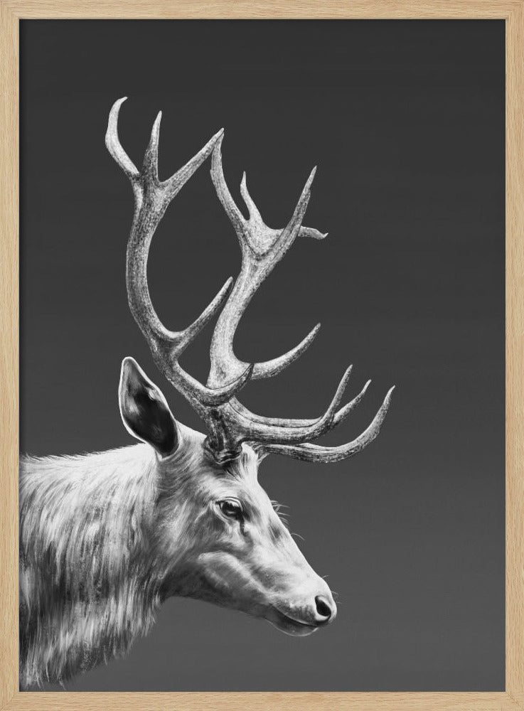 Rentier | Poster