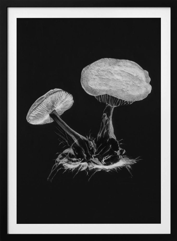 Vintage Violetter Webcap-Pilz, dunkles Schwarzweiß-Poster
