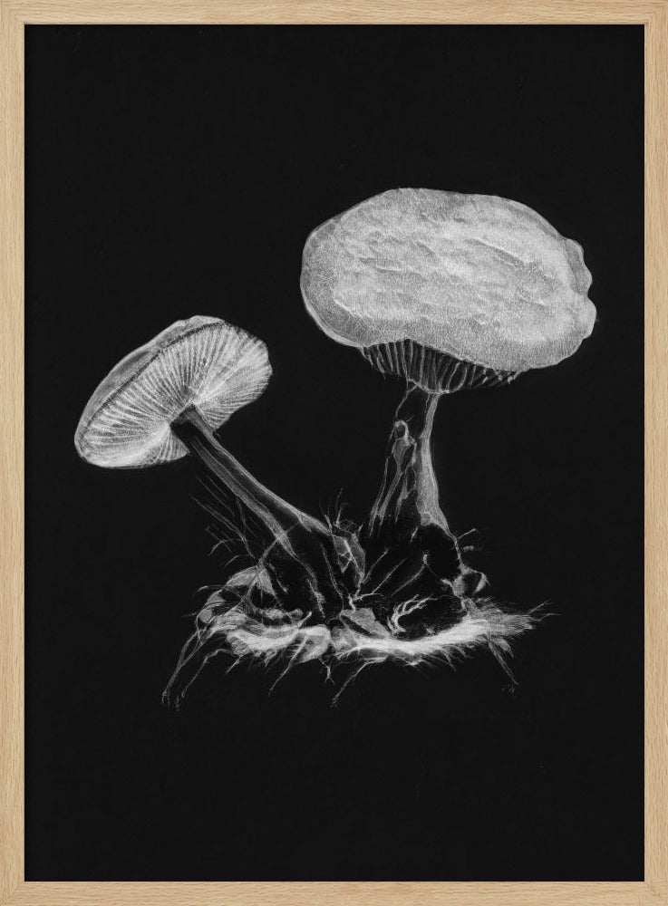 Vintage Violetter Webcap-Pilz, dunkles Schwarzweiß-Poster