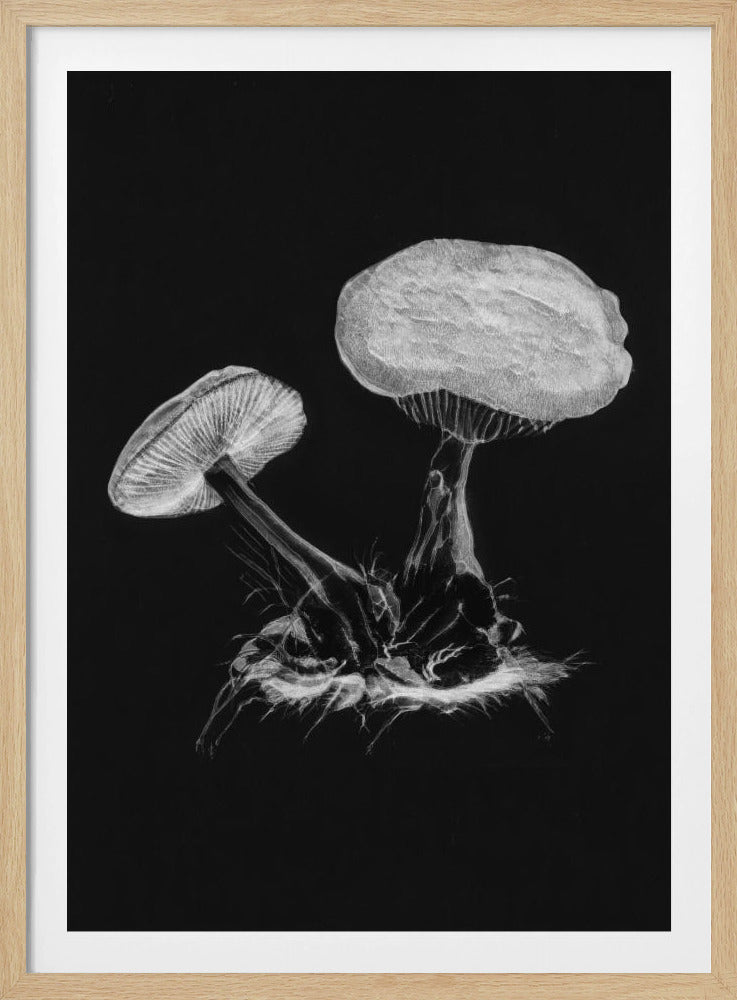 Vintage Violetter Webcap-Pilz, dunkles Schwarzweiß-Poster