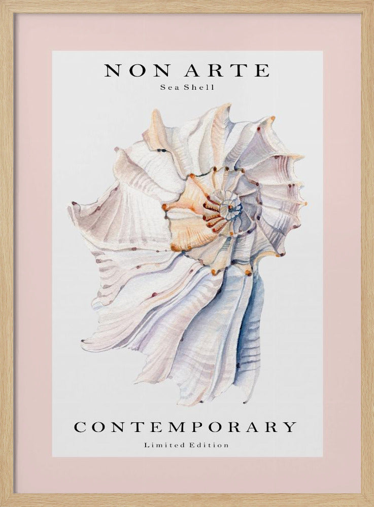 Non Arte Sea Shell no.1 | Poster