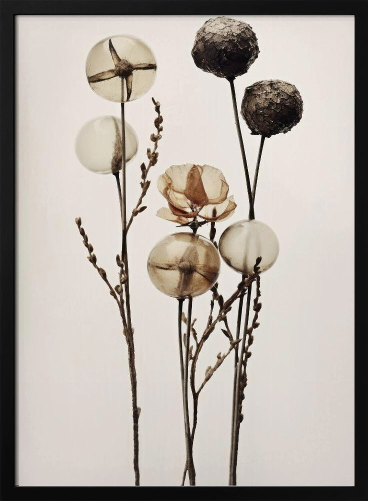 Glaskugelblumen | Poster