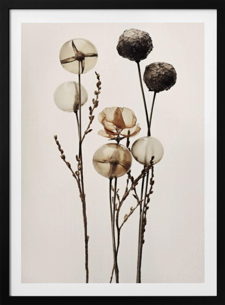 Glaskugelblumen | Poster