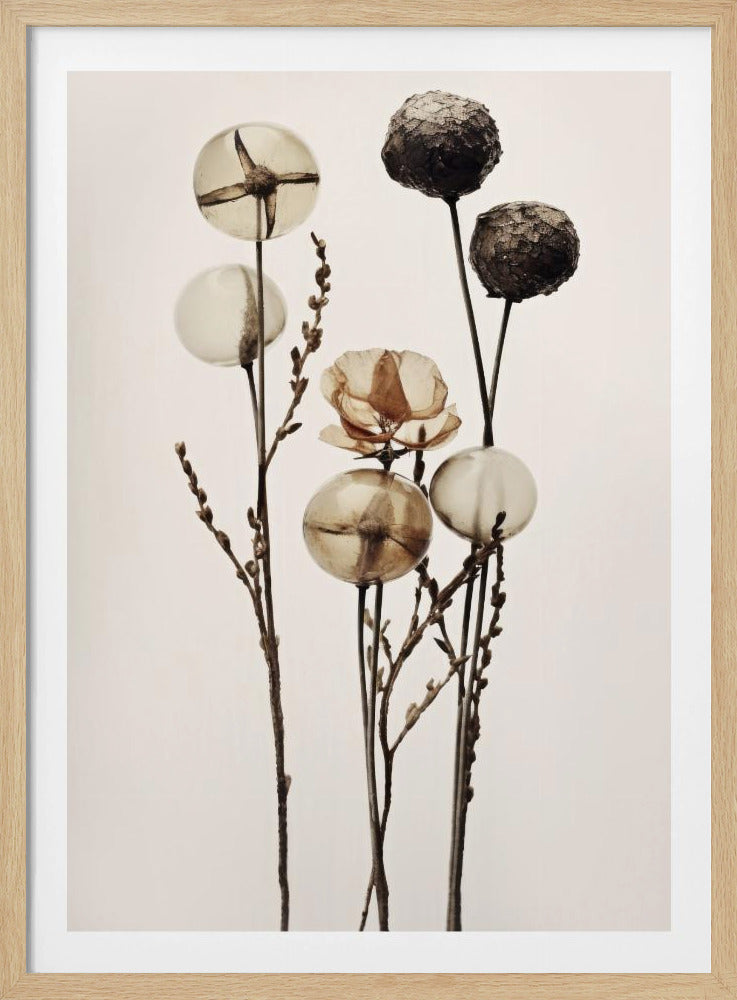 Glaskugelblumen | Poster
