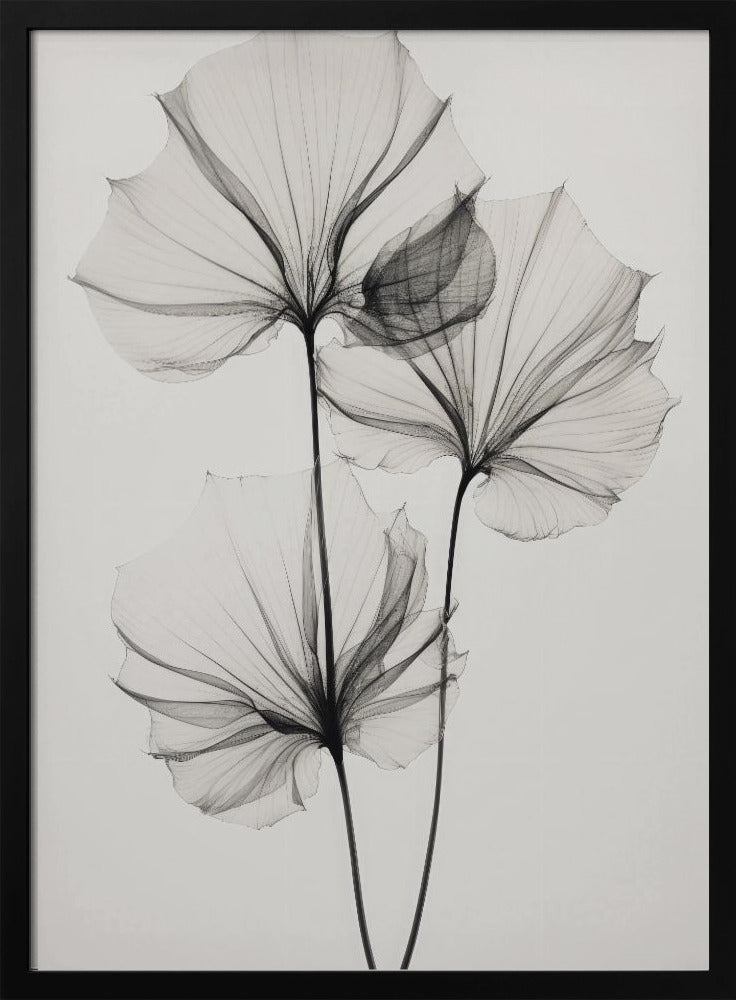 Transparente Botanik Nr. 3 | Poster