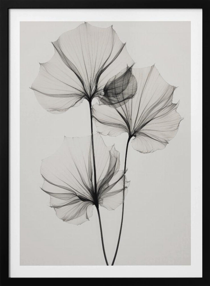 Transparente Botanik Nr. 3 | Poster