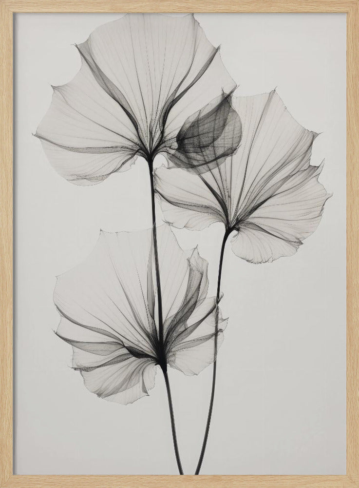 Transparente Botanik Nr. 3 | Poster