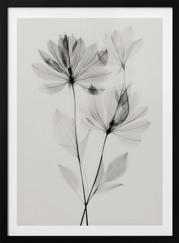 Ethereal Blossoms | Poster