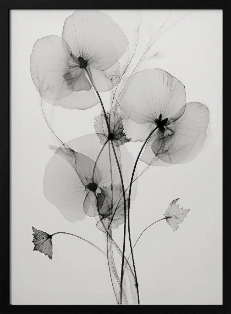 Transparent Botanic Nr. 1 | Poster