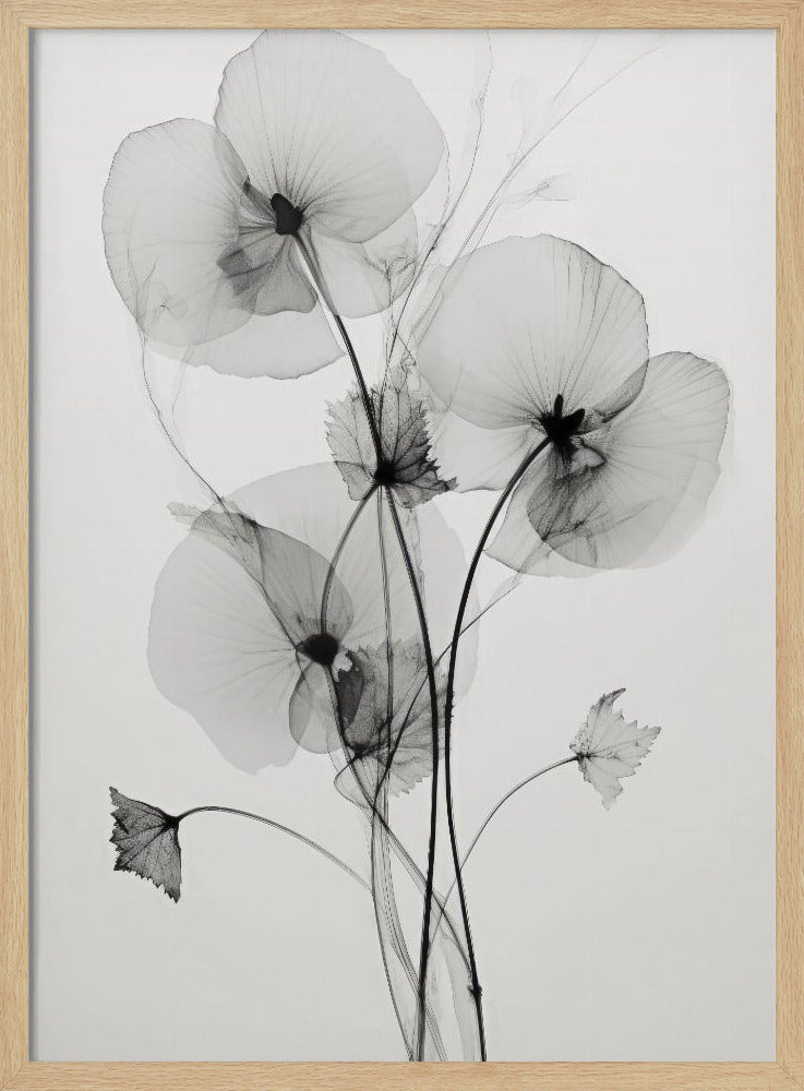 Transparent Botanic Nr. 1 | Poster