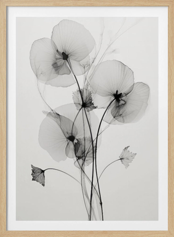 Transparent Botanic Nr. 1 | Poster