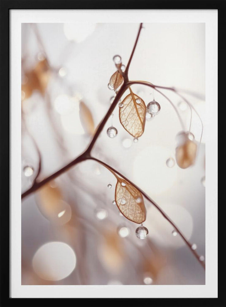 Taufrische Eleganz | Poster