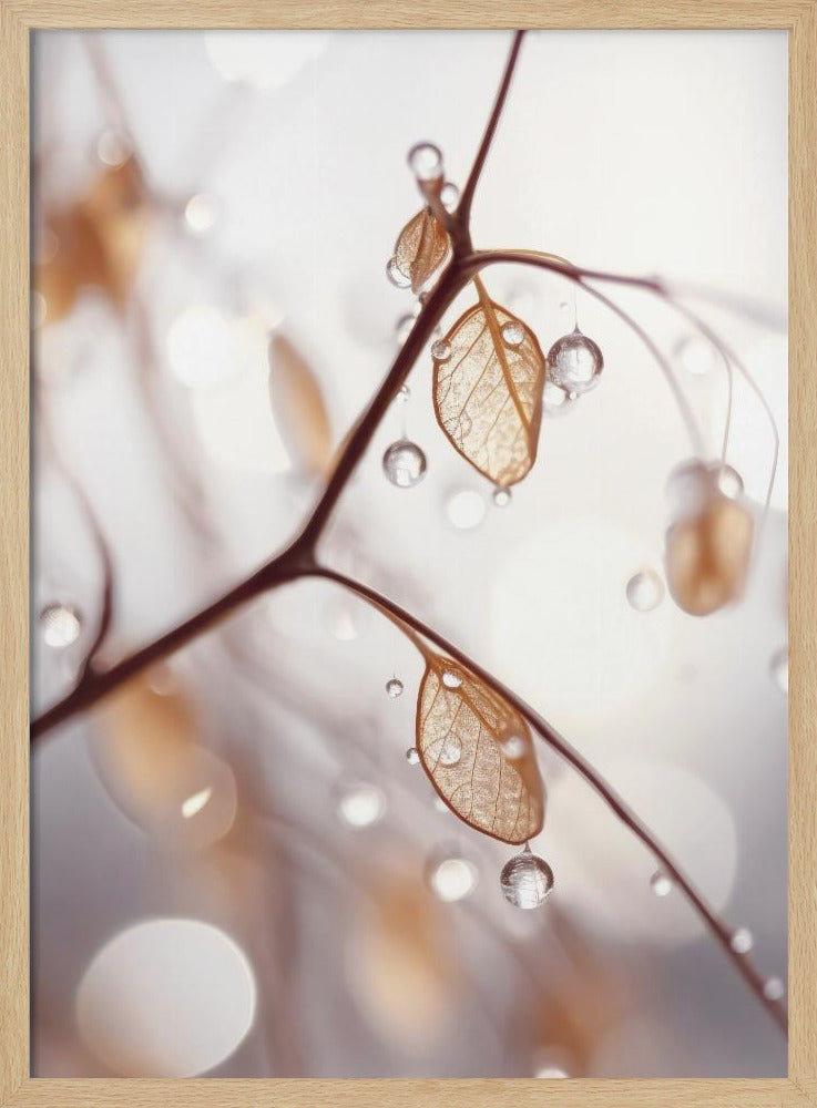 Taufrische Eleganz | Poster