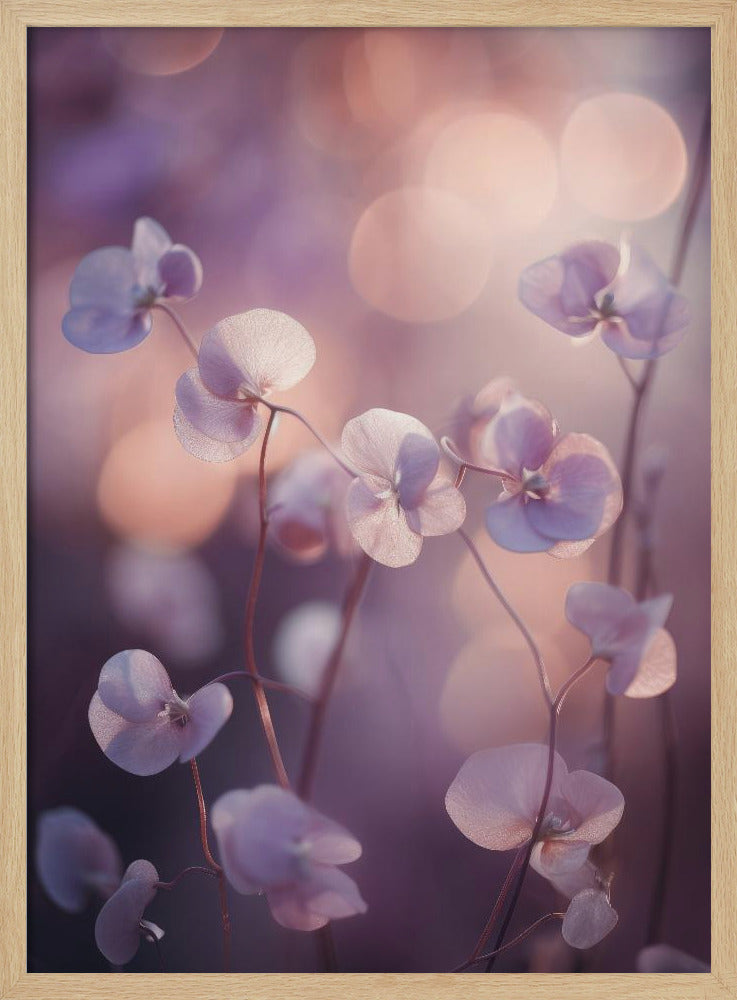 Ätherische Blüten | Poster