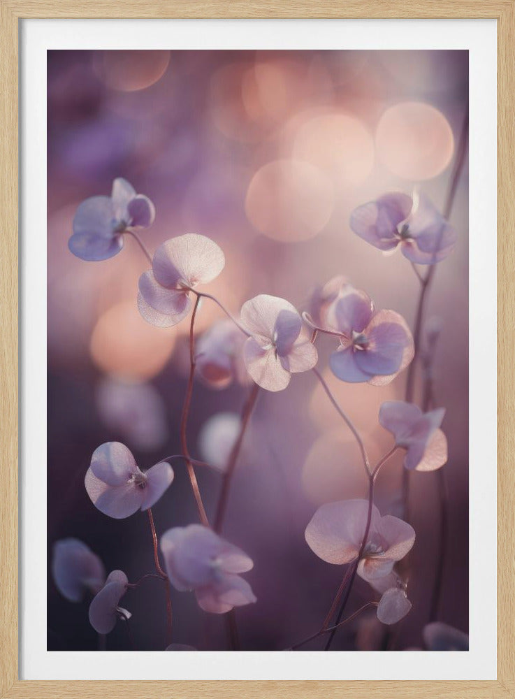 Ätherische Blüten | Poster