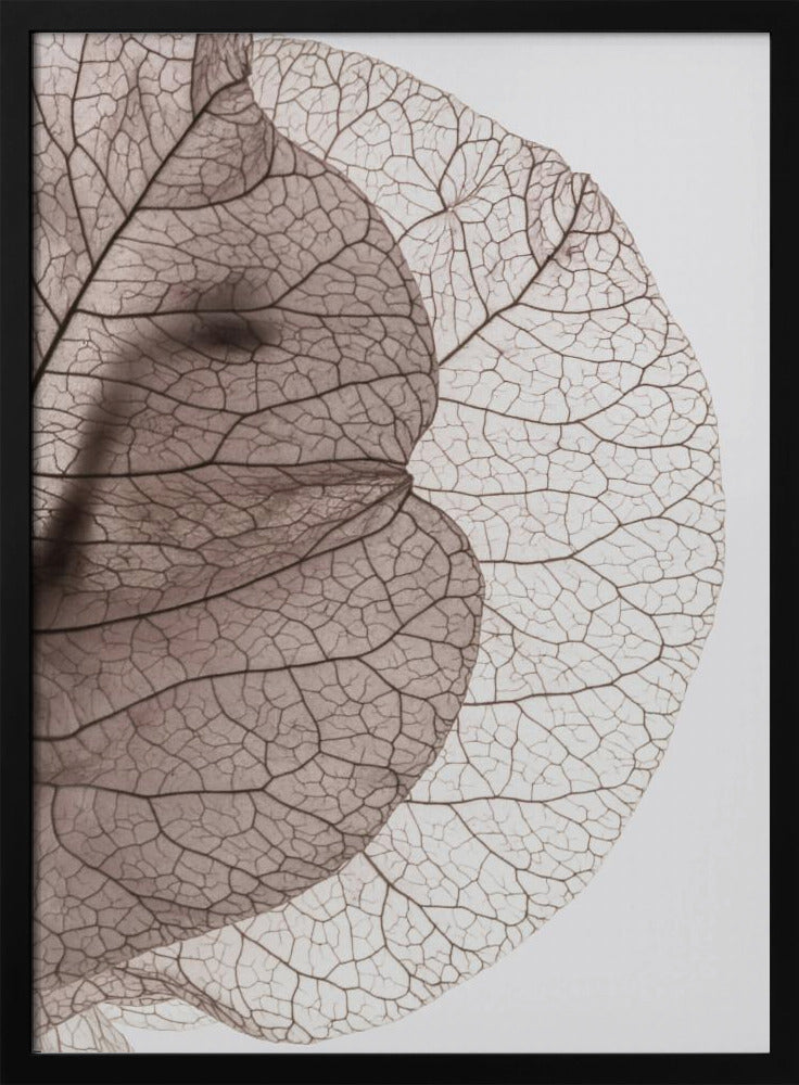 Adern der Natur | Poster