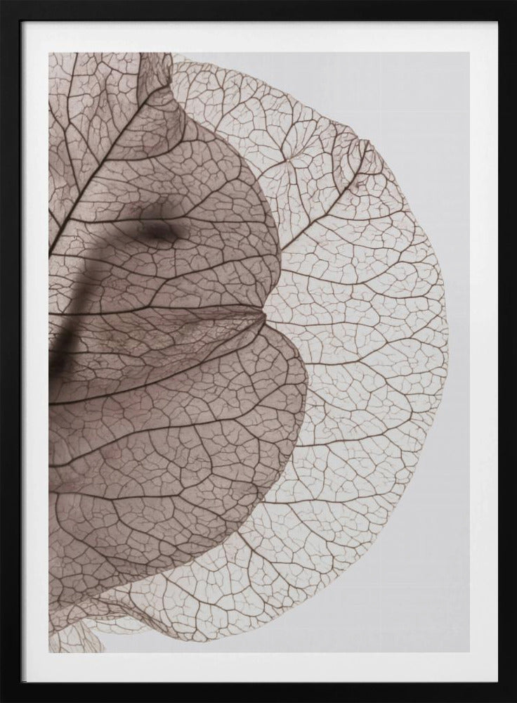 Adern der Natur | Poster