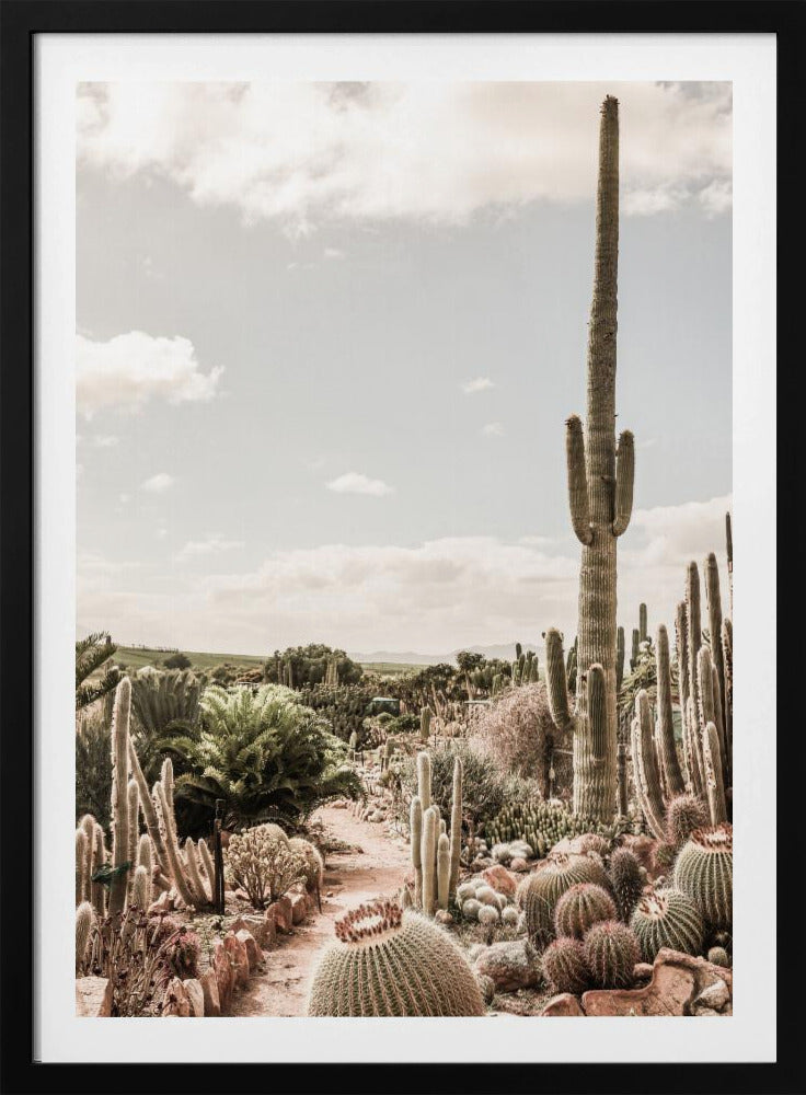 Kaktusfarm | Poster
