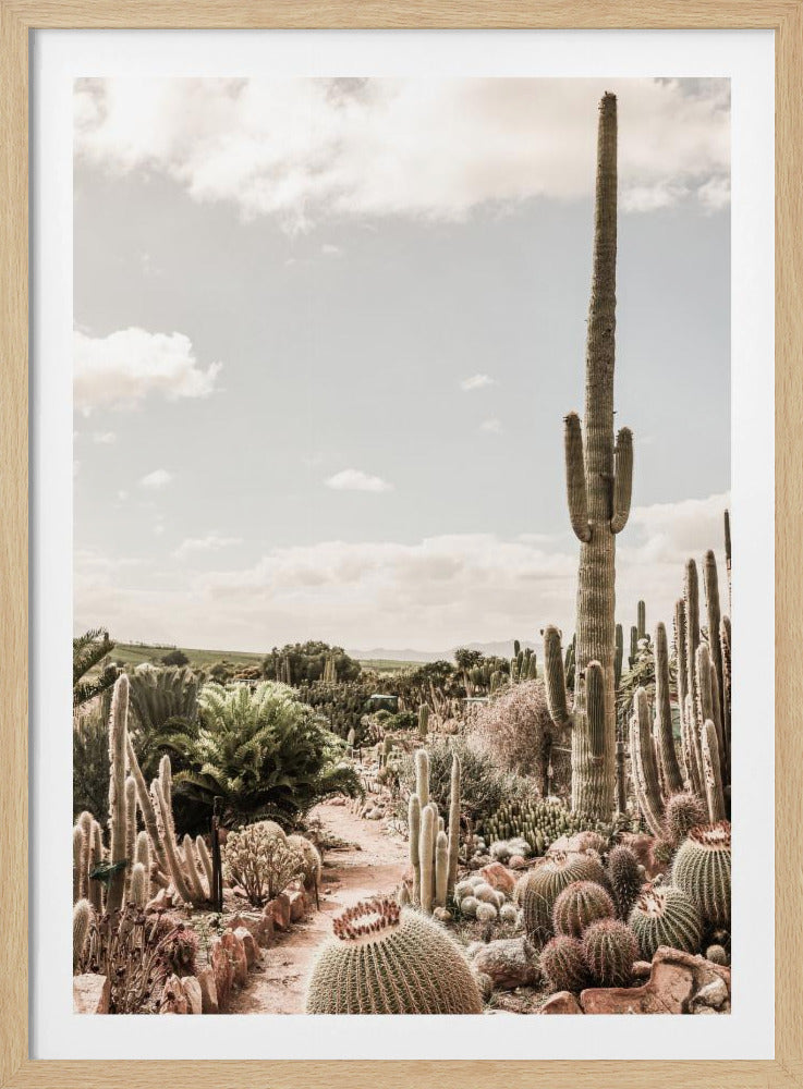 Kaktusfarm | Poster