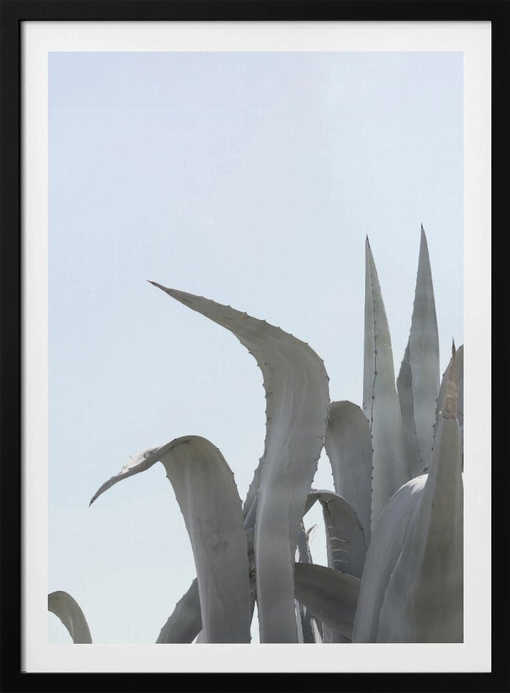 Azurblaue Agaventräume | Poster