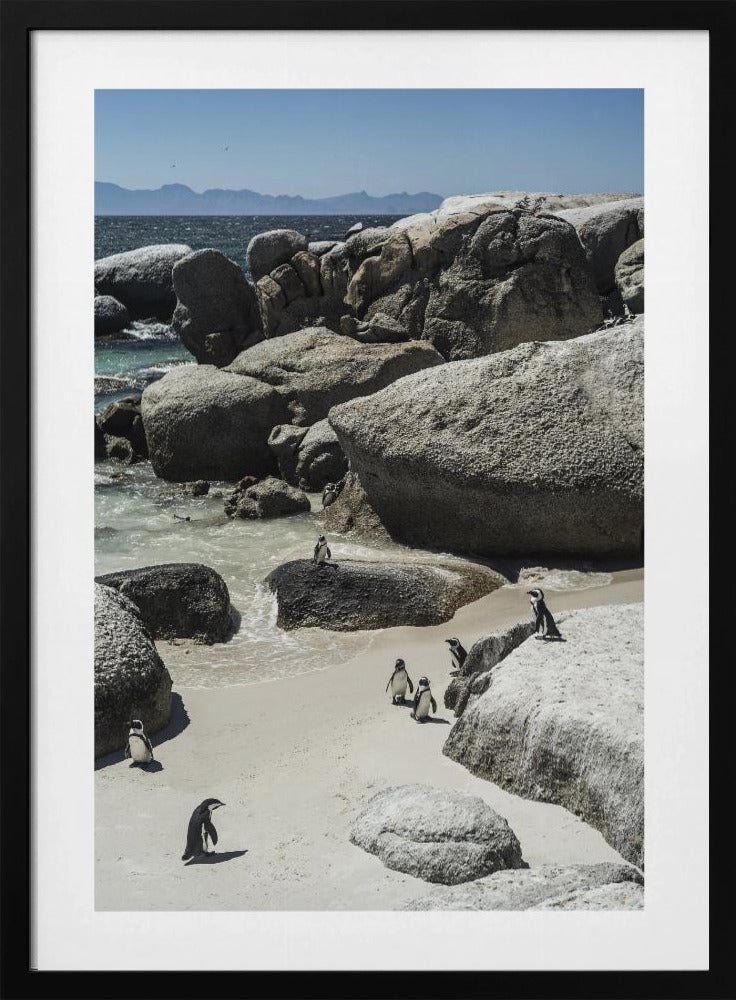Penguins' Coastal Stroll | Poster