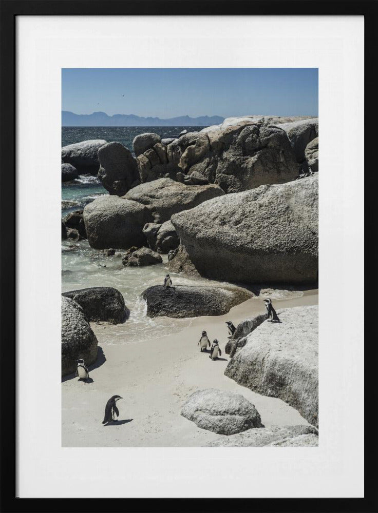 Penguins' Coastal Stroll | Poster
