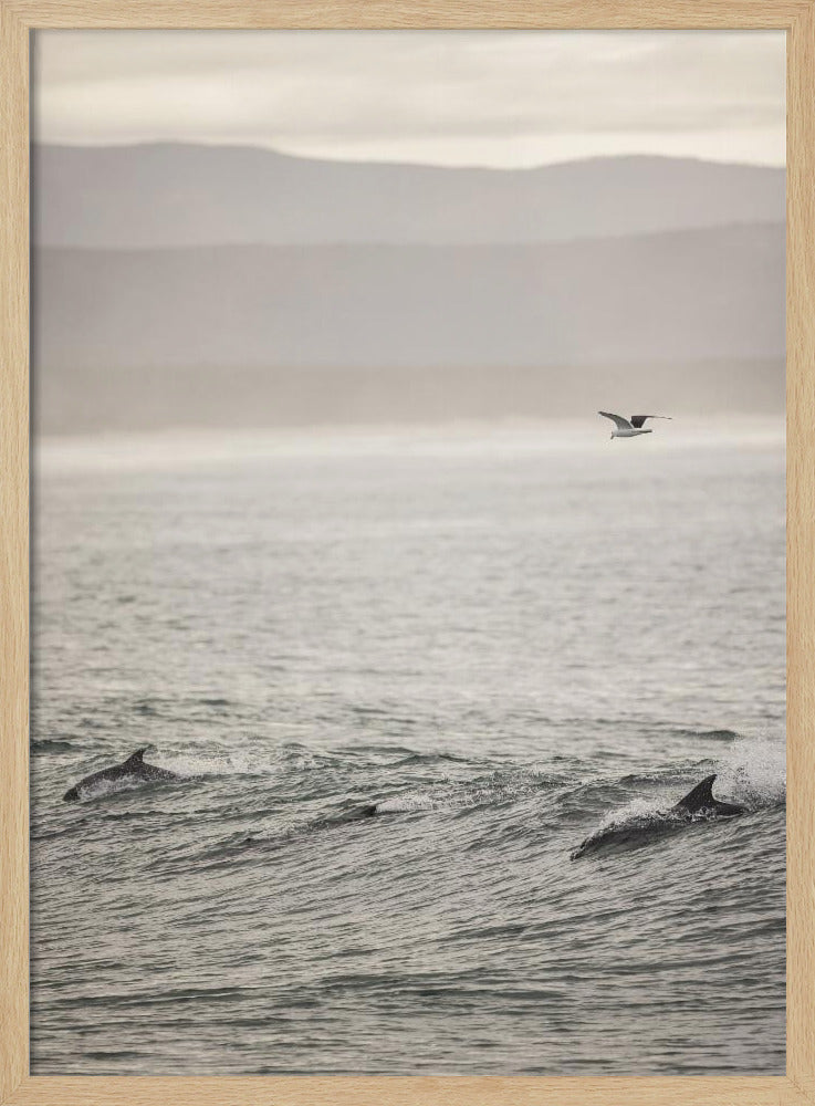 Ocean's Dance | Poster