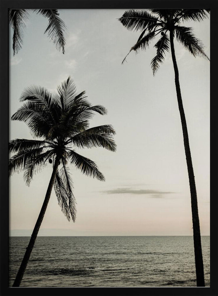 Tropischer Abendhimmel | Poster