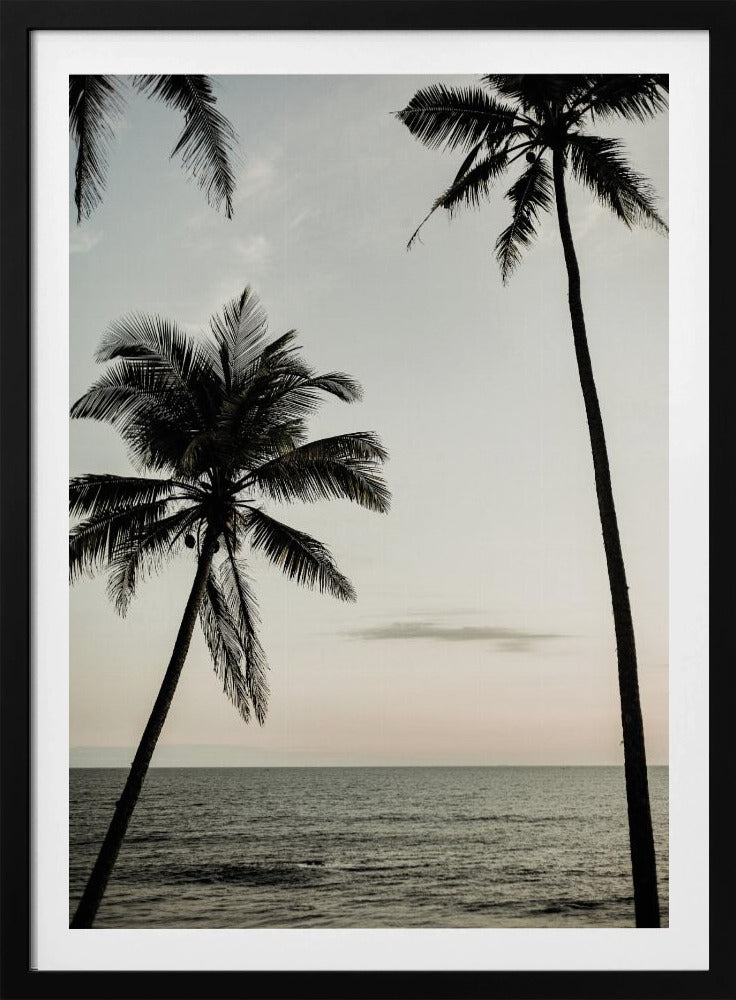 Tropischer Abendhimmel | Poster