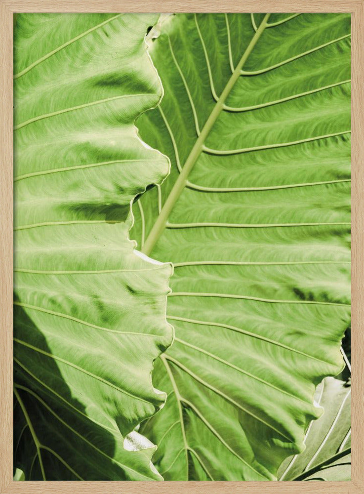 Grüne Wellen | Poster
