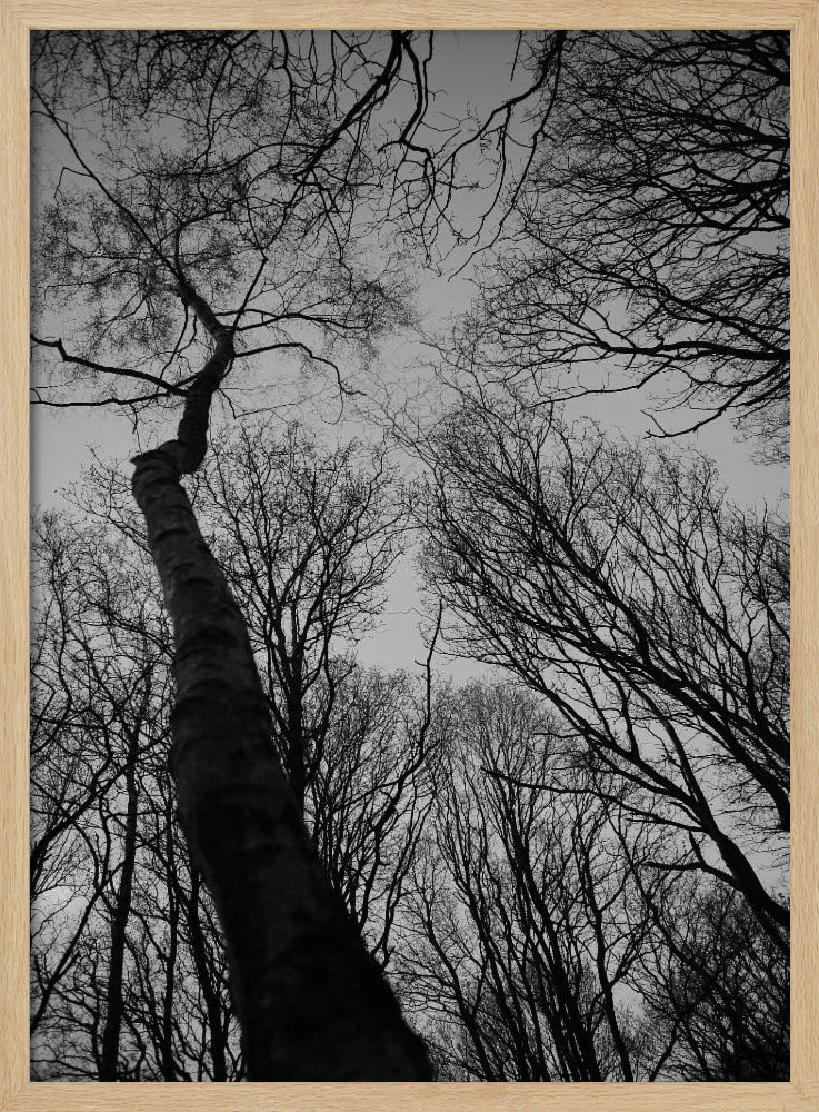 Winters Reichweite | Poster