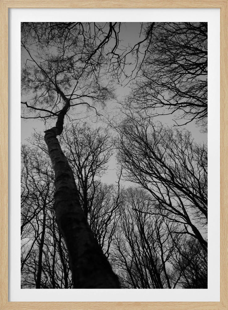 Winters Reichweite | Poster
