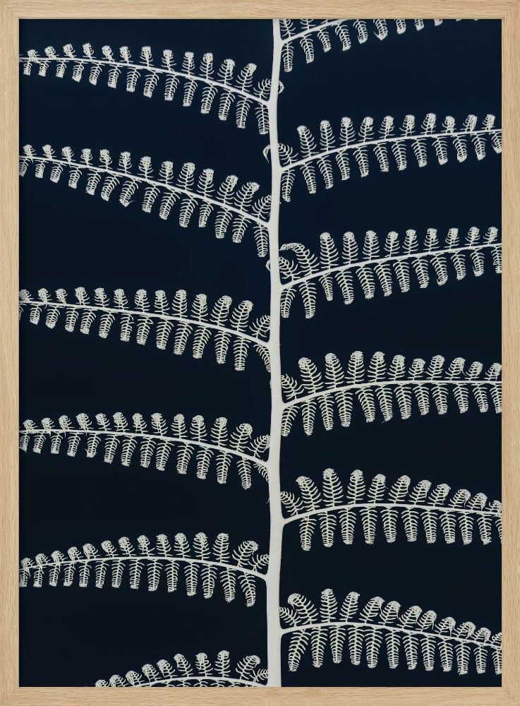 Farnflüstern | Poster