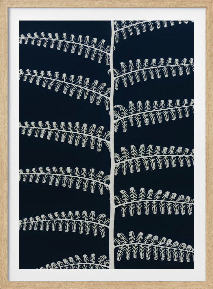 Farnflüstern | Poster
