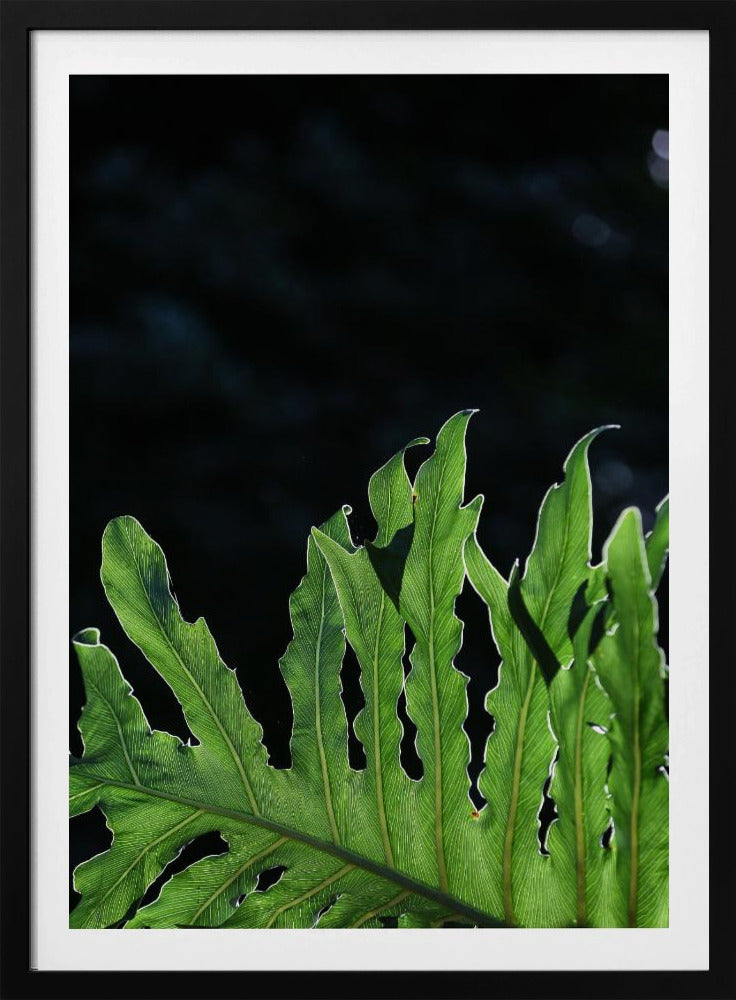 Smaragdgrünes Strahlen | Poster