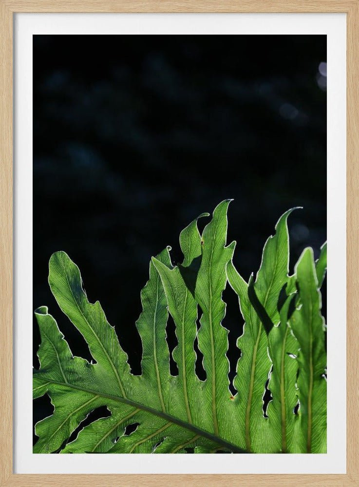 Smaragdgrünes Strahlen | Poster