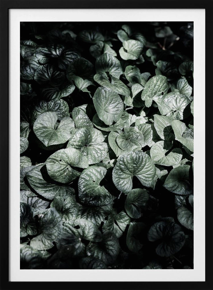 Blattschatten | Poster