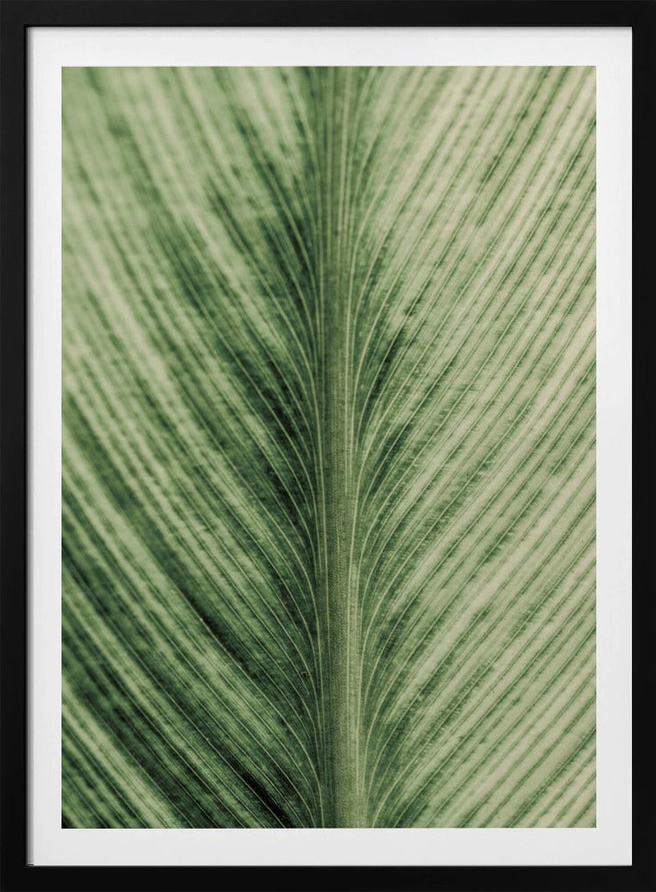 Grüne Adern | Poster