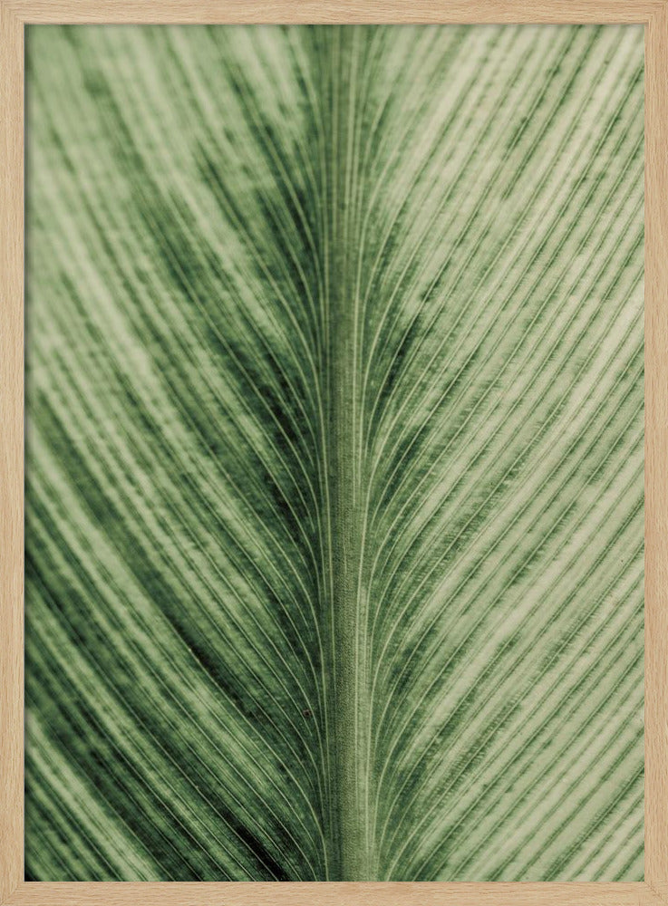 Grüne Adern | Poster