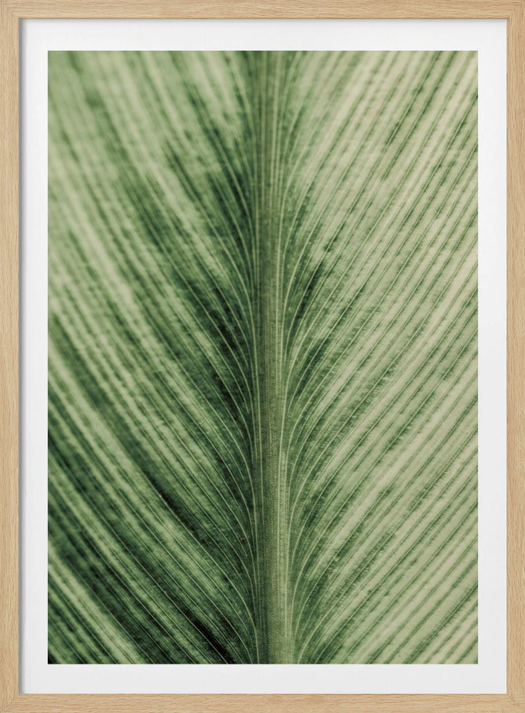 Grüne Adern | Poster