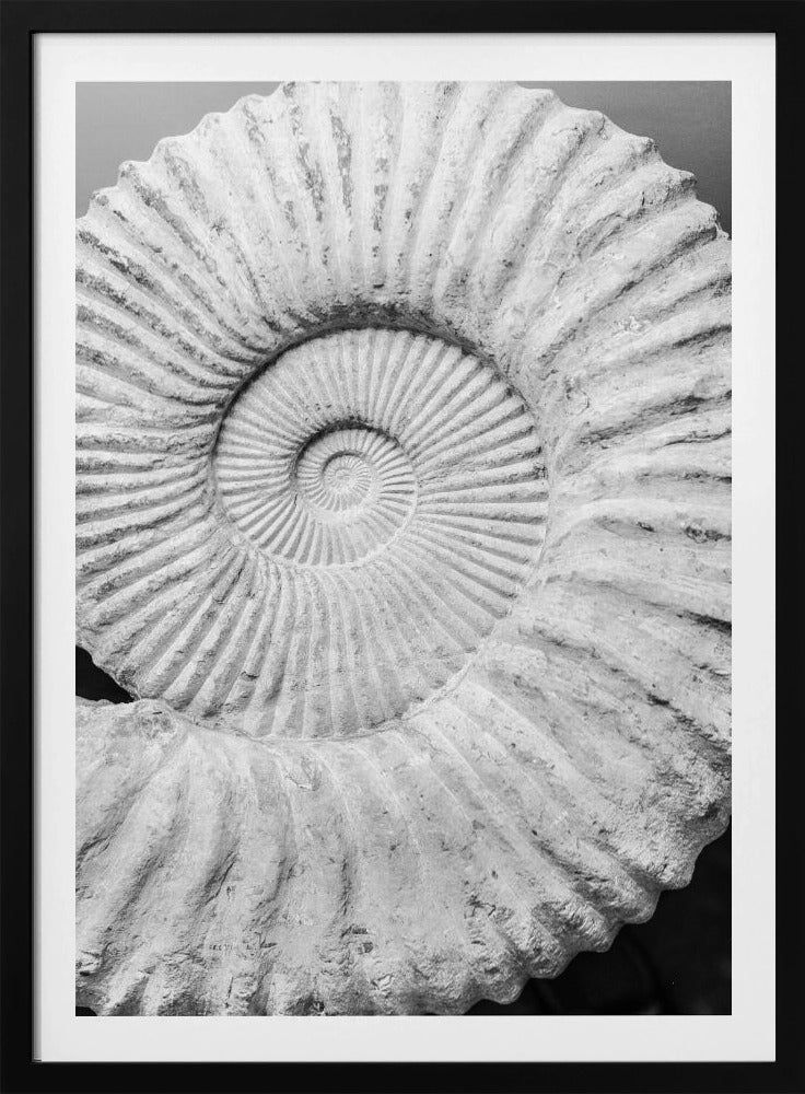 Uralte Spiralträume | Poster
