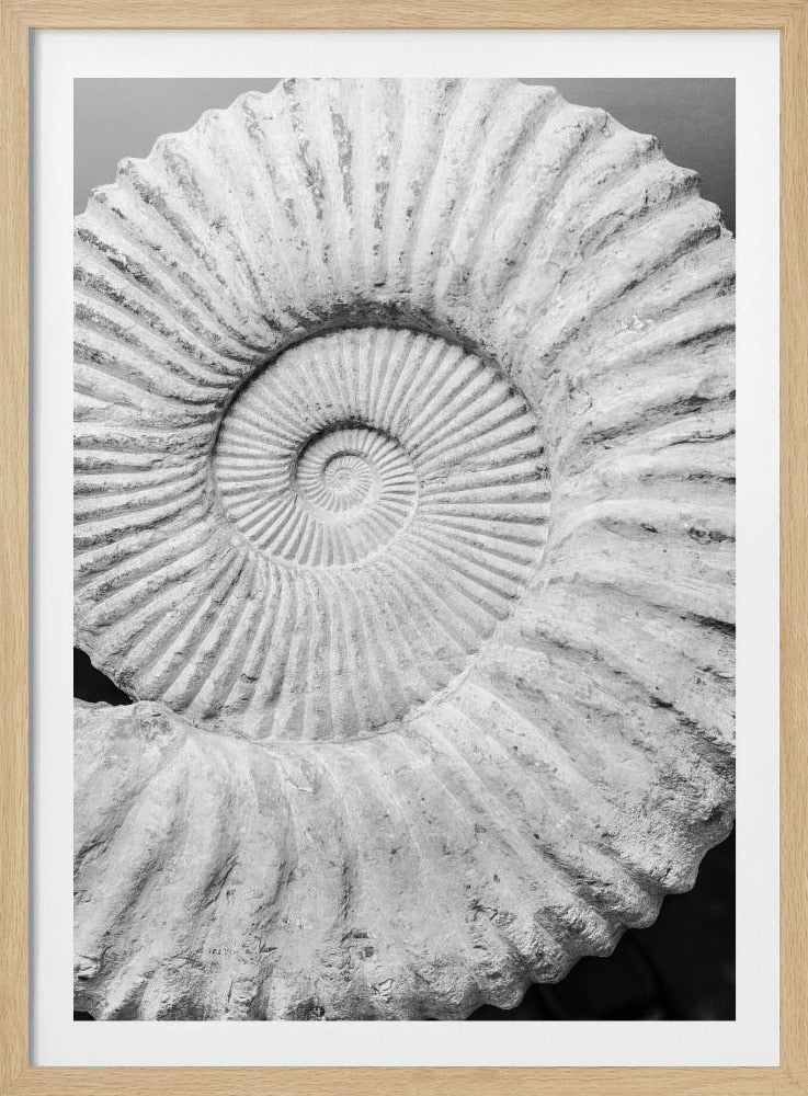 Uralte Spiralträume | Poster