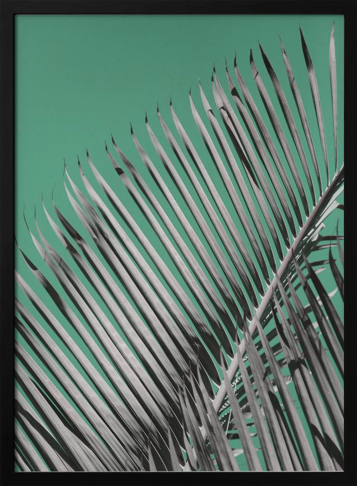 Palmenruhe | Poster