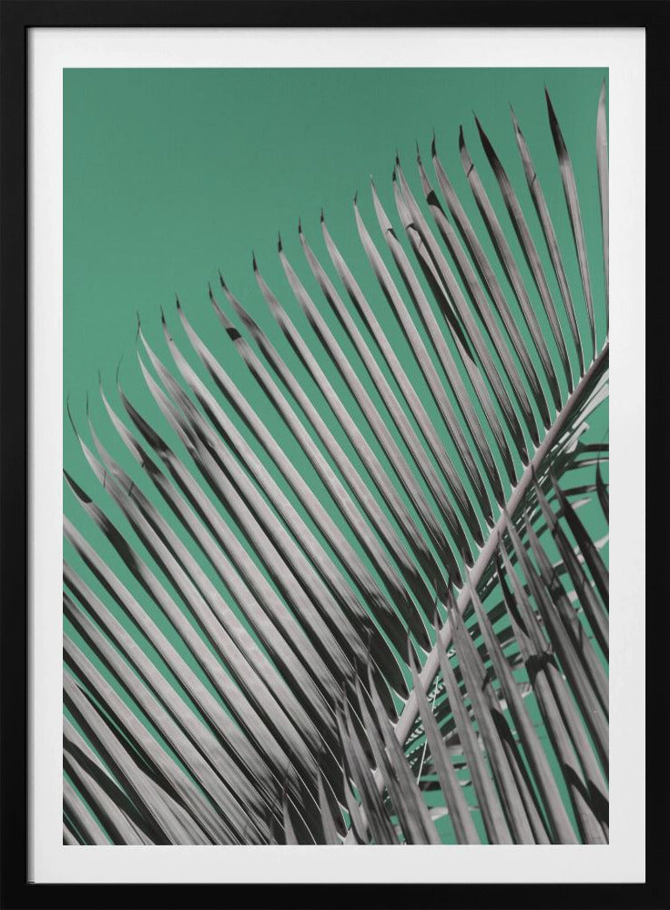 Palmenruhe | Poster