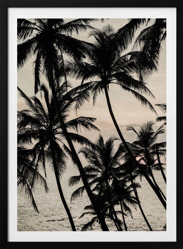 Silhouetten bei Sonnenuntergang | Poster