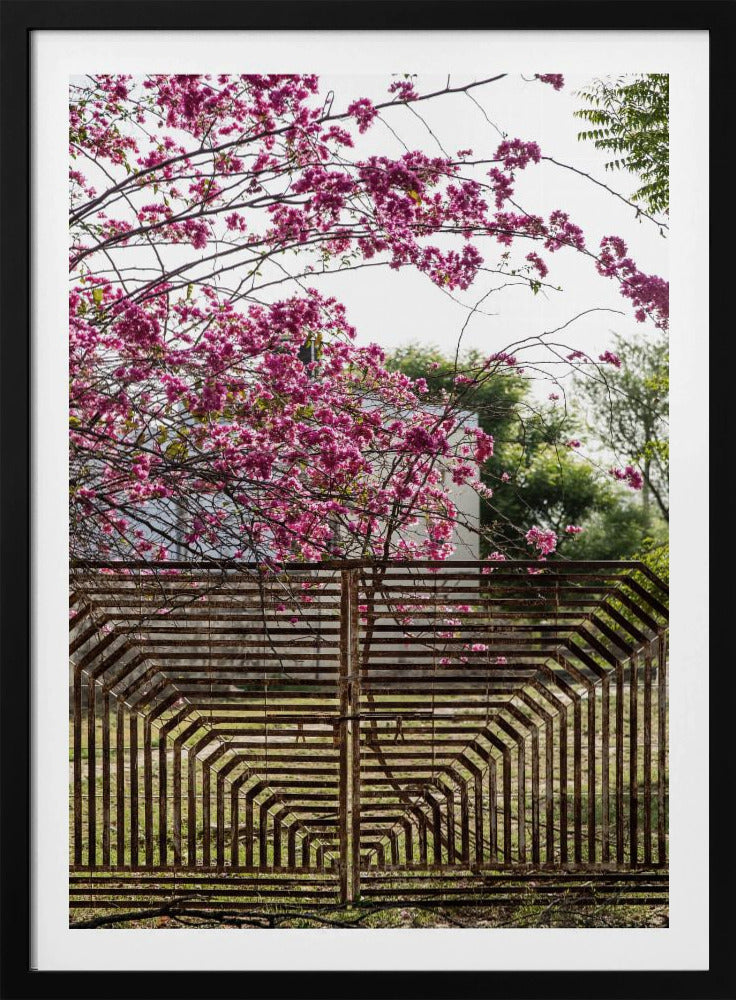Blüten jenseits von Bars | Poster