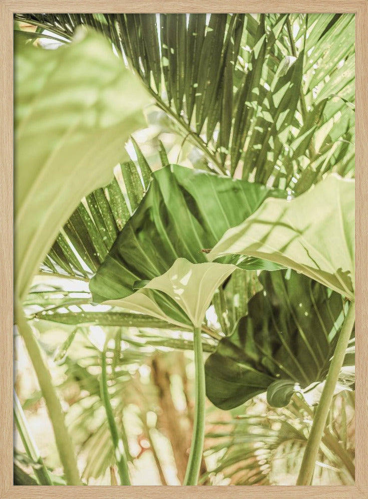 Sonnenbeschienenes Dschungelgrün | Poster